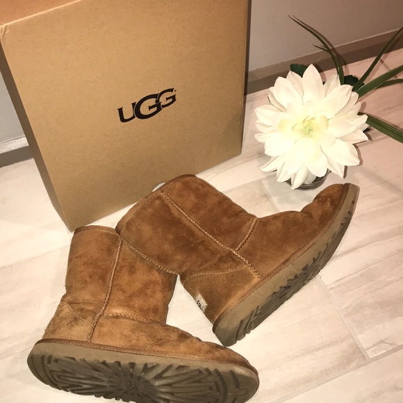UGG Australia Chestnut Classic Short Boots - Picture 3 of 8